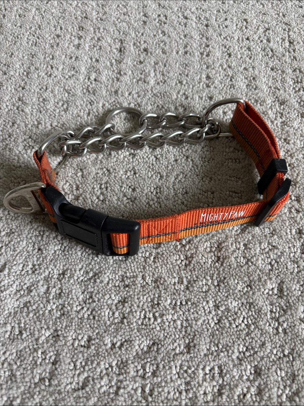 Orange Martingale Dog Collar with Chain